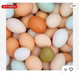 Fresh Eggs in Highlands For Sale