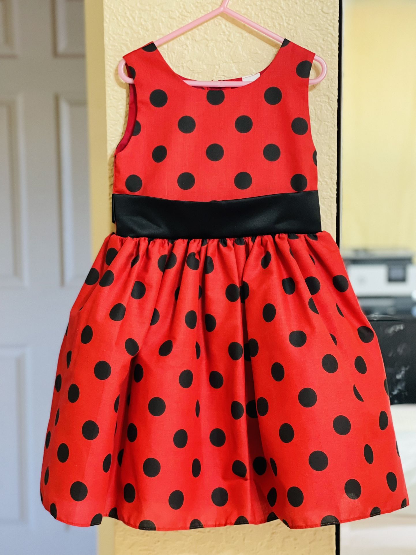 Ladybug Homemade Dress (5T/6T)