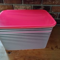 Storage Bin With Lid 
