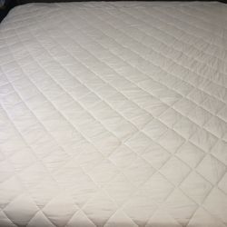 Queen Size Mattress Protector (NO MATTRESS) 