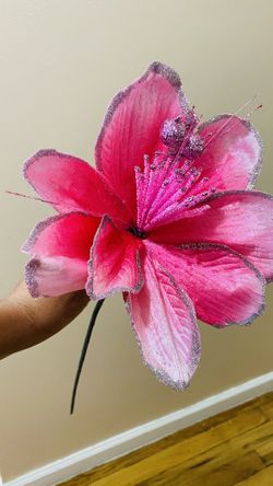 Christmas Pink Flowers