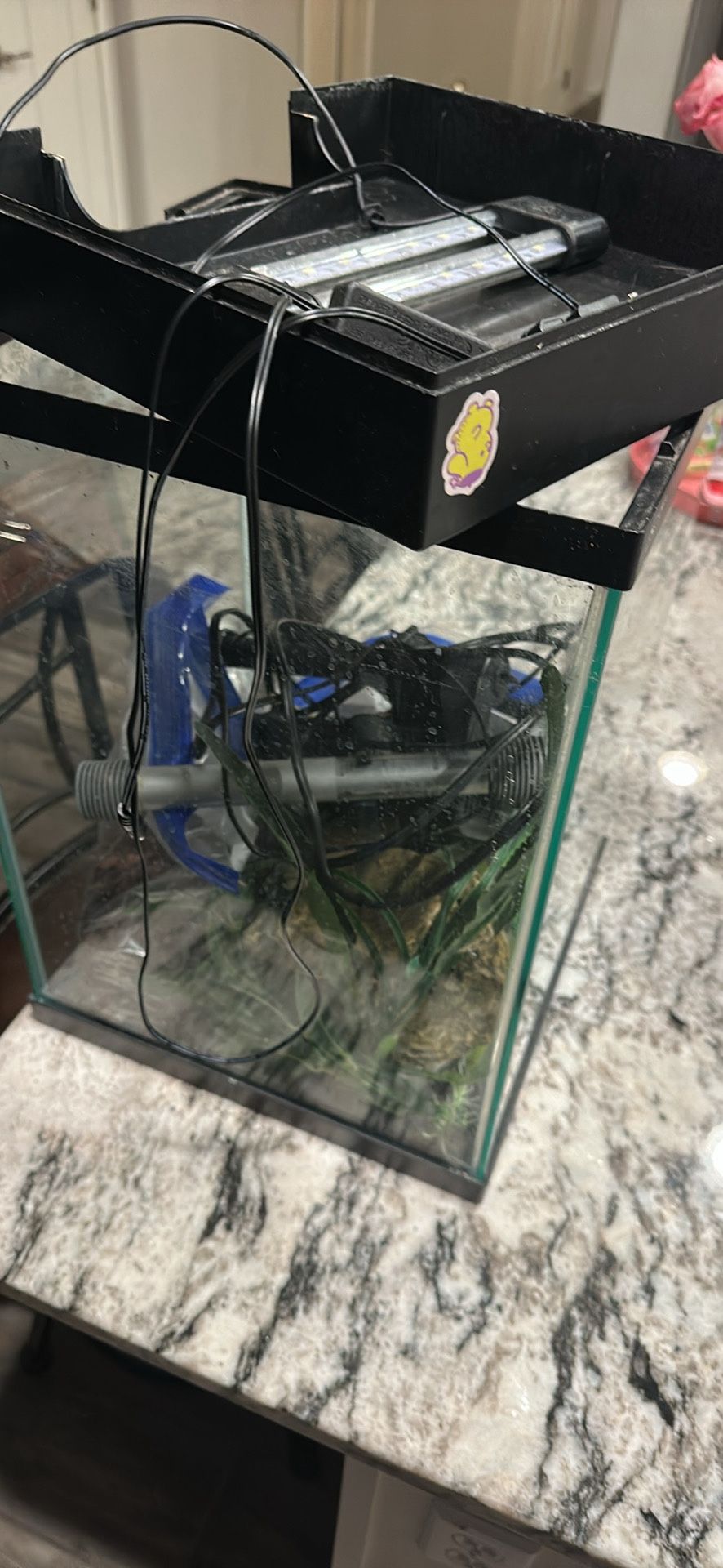 10 Gallon Fish tank, Gravel And Decor