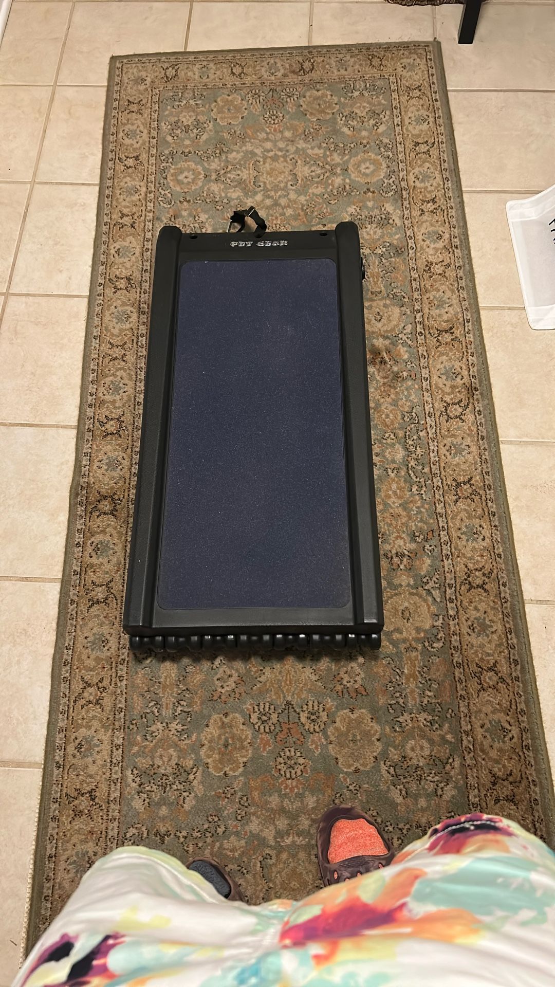 Pet Gear brand Dog Ramp