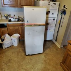 Garage Fridge Needs Cleaned