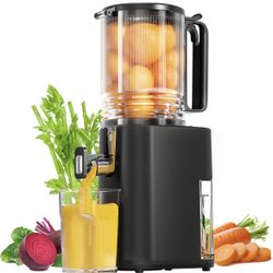 Cold Press Juicer, Slow Masticating Juicer for Whole Vegetables & Fruits