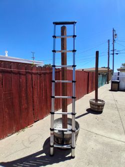 Cosco telescope ladder