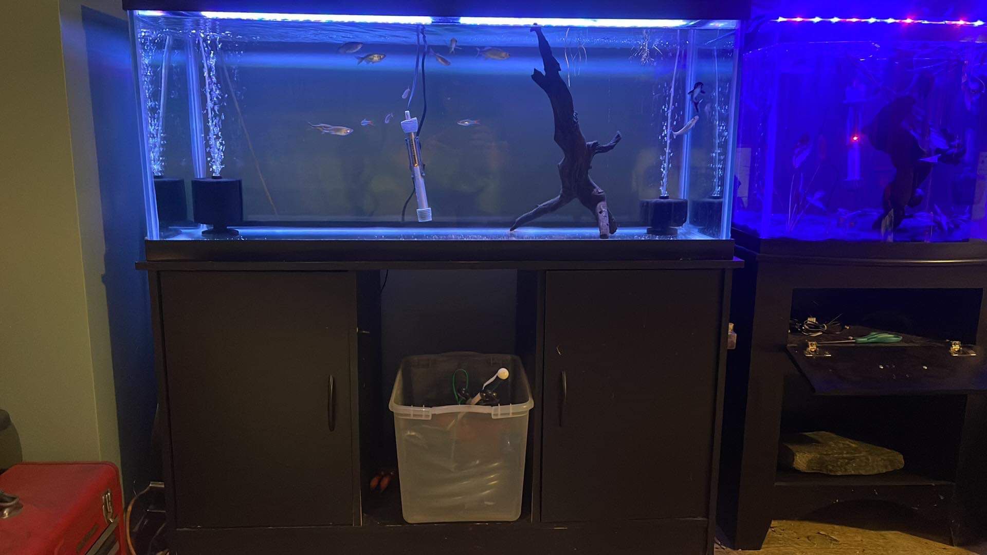 75 Gallon tank and stand