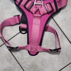 Kong XL Dog Harness