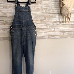 Dark denim overalls