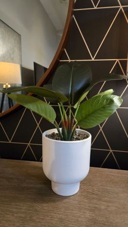Tropical Plant in White Ceramic Pot