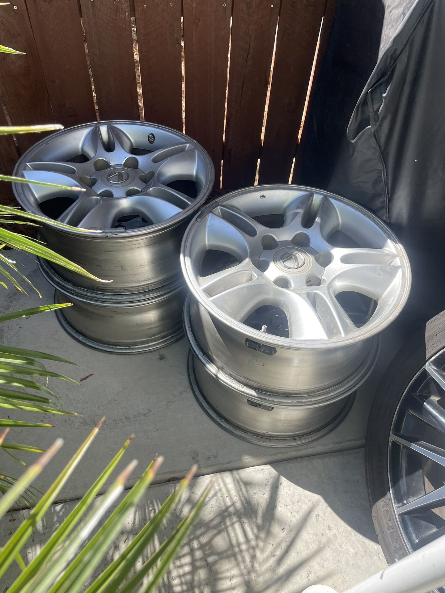 Lexus 17” Rims