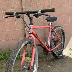 Diamond Back Mountain Bike