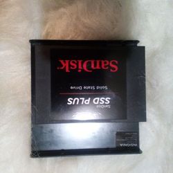 SanDisk SSD PLUS solid State Drive