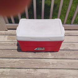 Igloo Ice Chest 48 Quarts 