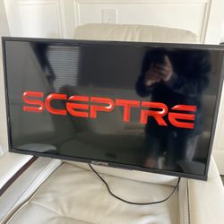 29 Inch Sceptre TV