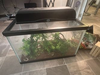 Reptile Tank 10 Gallon And Lot Of Supplies 