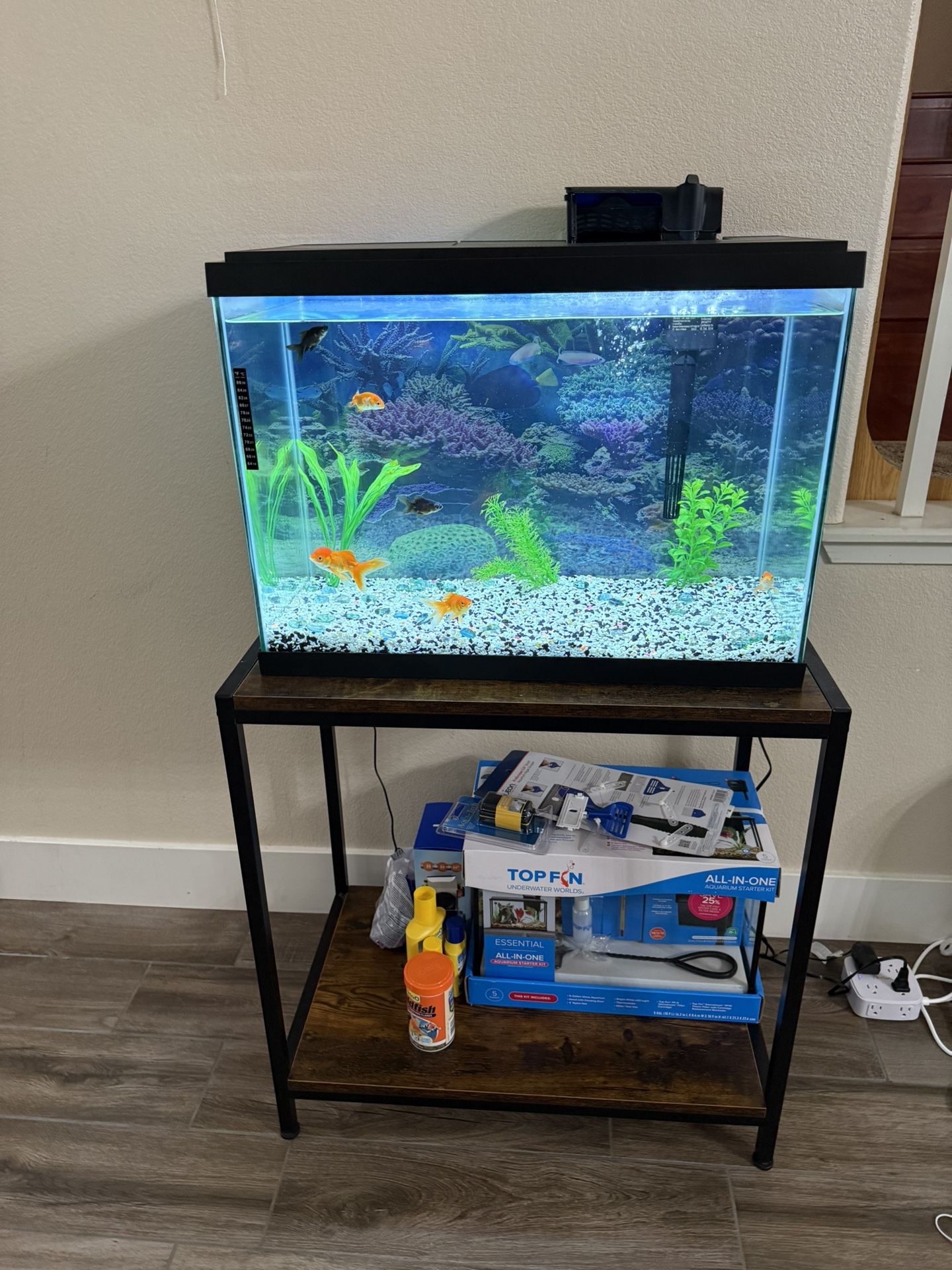 20 Gallon Fish Tank And Stand