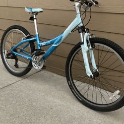 Aluminum Bike 🚴  Trek Sz 24