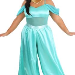 Princess Jasmine And Genie costume
