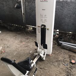 Freemotion Calf Press Machine Gym Equipment