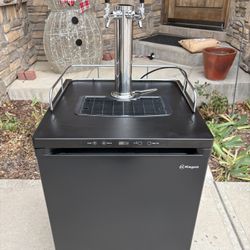 Kegco Dual Tap Kegerator