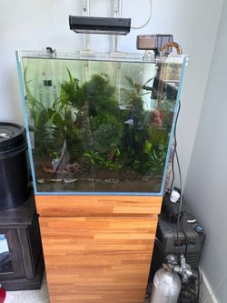 UNS 50C tank and bamboo stand