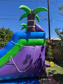 Purple palms