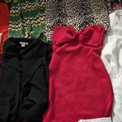 Women Size Small dresses/skirts