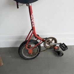Lerun Skate Bike Unicycle 