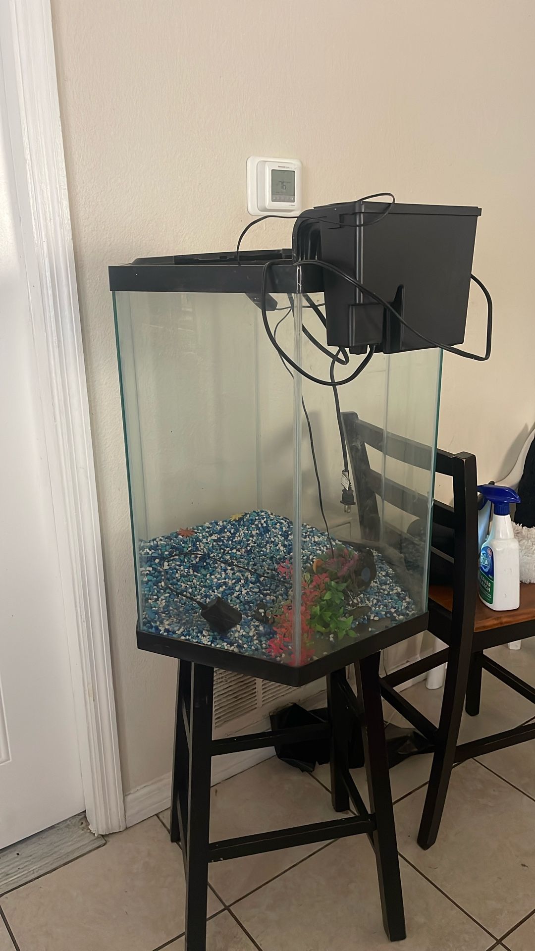 Hexagonal Fish Tank