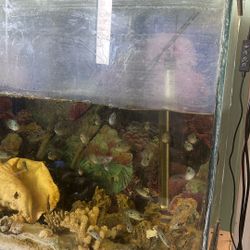 100 Gallon Fish Tank Glass