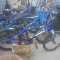 Kids Bike