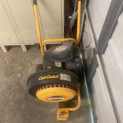 Cub Cadet Jet Sweep Walk