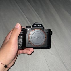 SONY A7III (BODY ONLY)