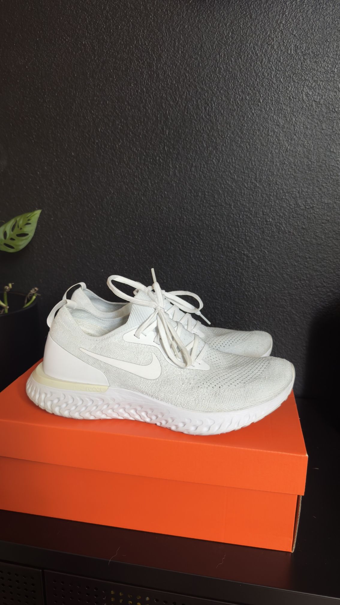Nike Shoes 
