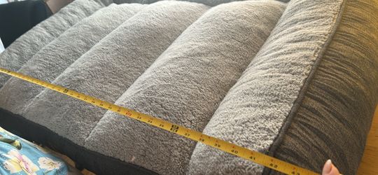 Dog Bed
