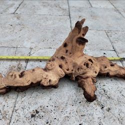 DRIFTWOOD!