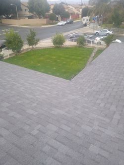Roof Shingles