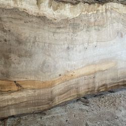Huge Silver Maple Live Edge Slabs!