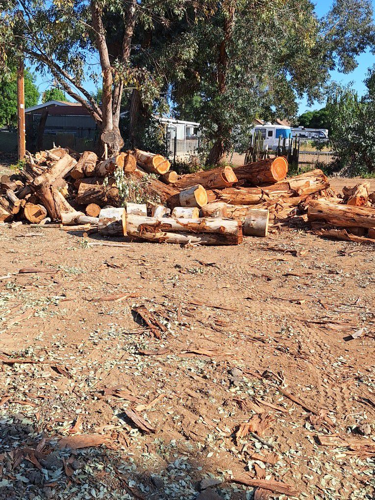 Eucalyptus Fire Wood 