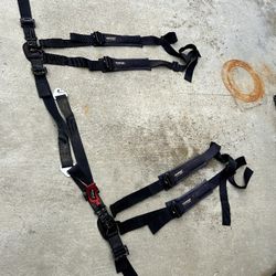 Sxs belts For 2 seater Rzr CanAm $60