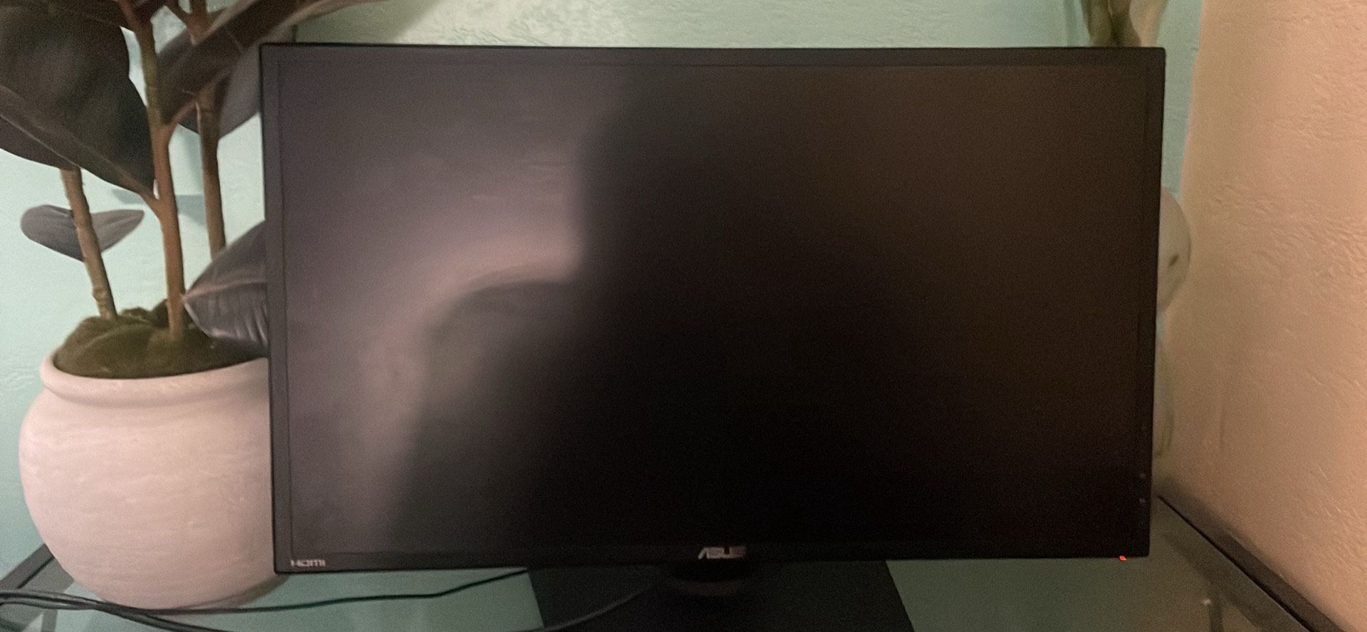 Asus Monitor 24 In
