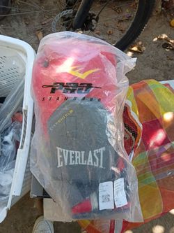Everlast boxing gloves