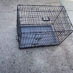 Dog Kennel 