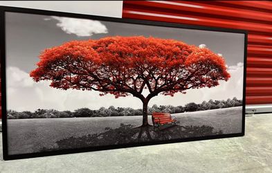 Large Wall Art Canvas 29x58 Framed