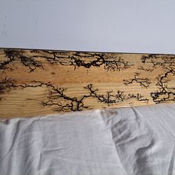 Fractal Burnt Wood Wall Hanger