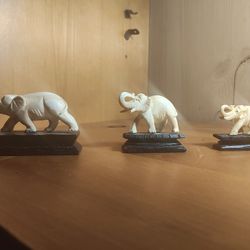 Elephant's ( 3)