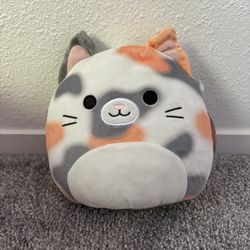 Cat Stuffed Animal
