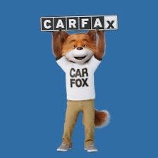 Сarfax Report $7 