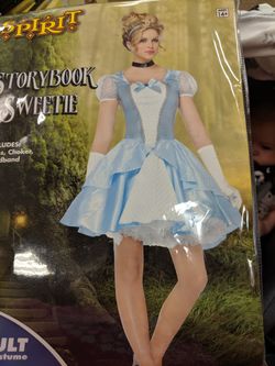 Cinderella costume